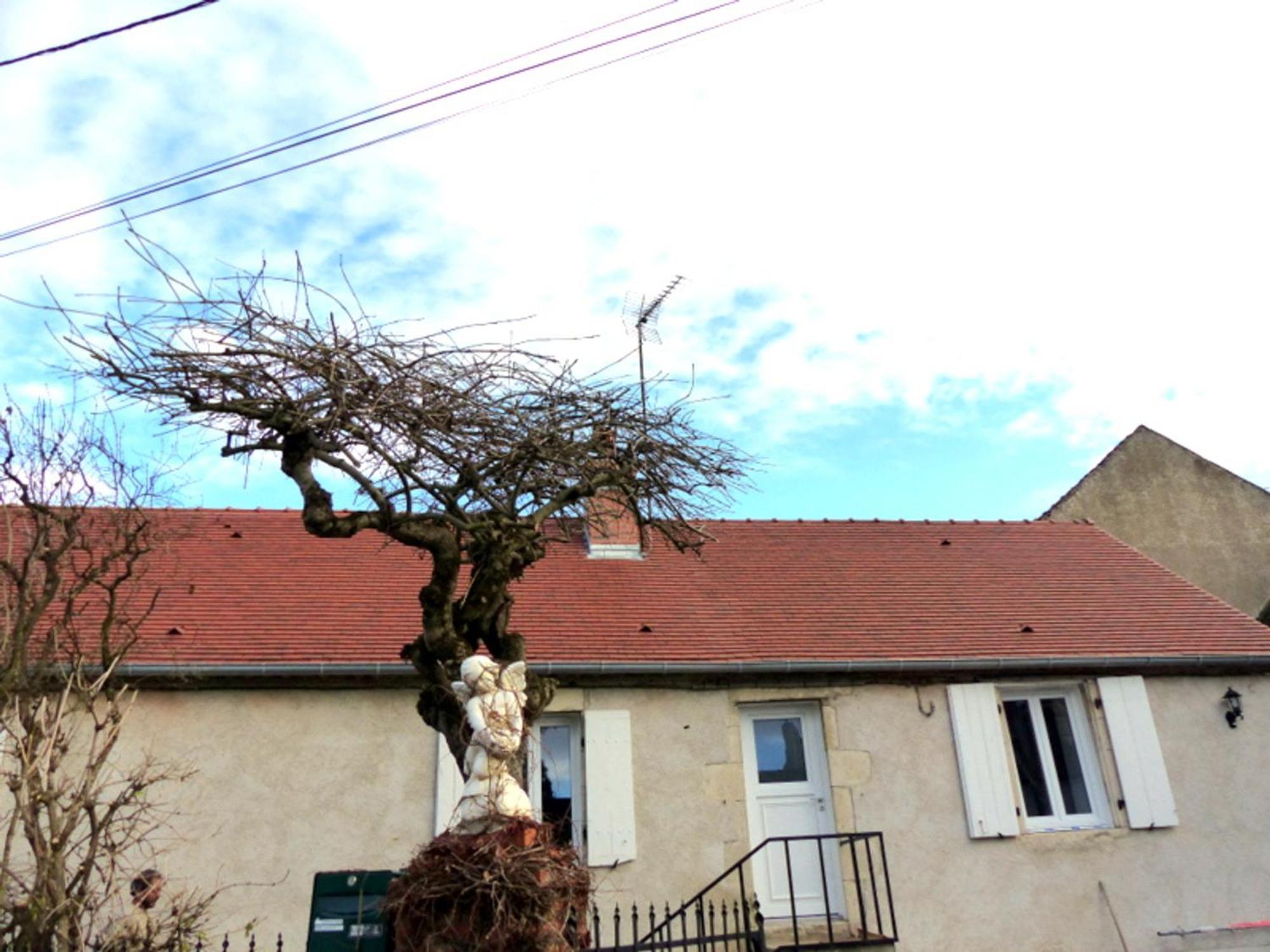 Villa Maison Cocooning Avec Jardin Et Cheminee Pres De Vichy - Velos Et Animaux Acceptes - Fr-1-489-68 Brout-Vernet Exterior foto